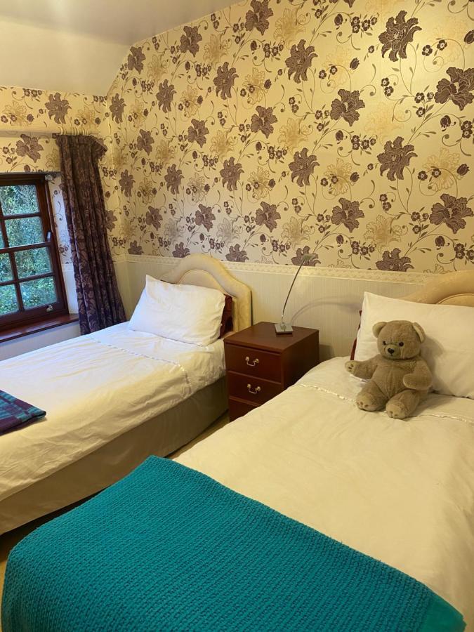 The Laurels Bed And Breakfast Cardiff Exterior foto